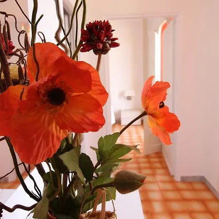 Casa Ylenia Vakantiehuis *